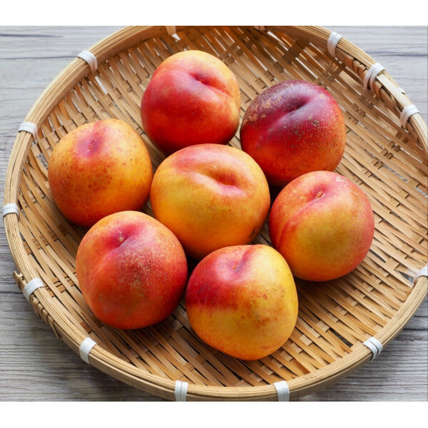300박스 한정 새콤달콤한 신비복숭아 중소과 3kg