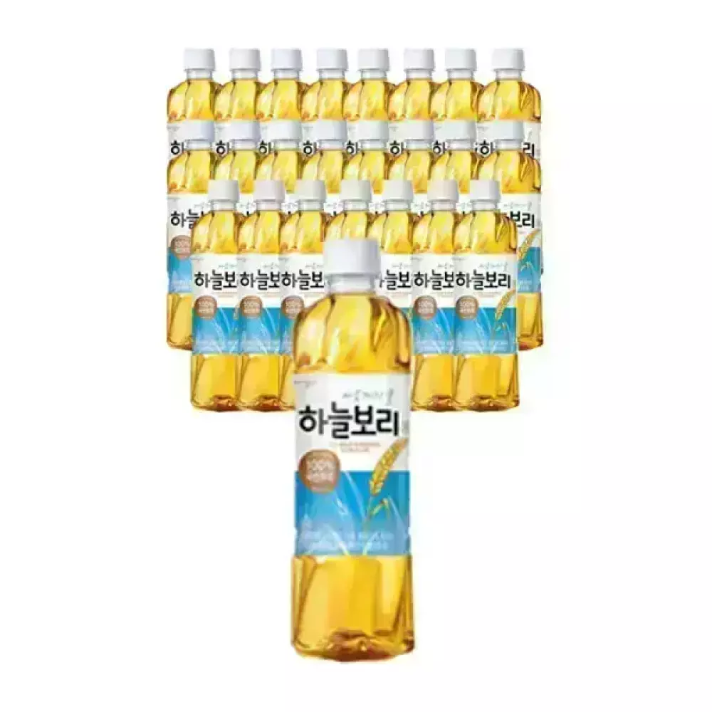 웅진 하늘보리 유/무라벨 랜덤 500ml, 24개