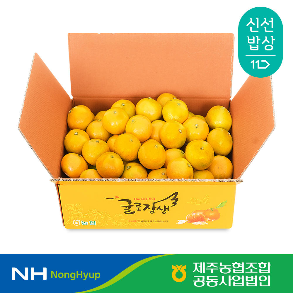 [첫출하] 제주농협 귤로장생  하우스감귤 2.5kg 소과(2S 이하)