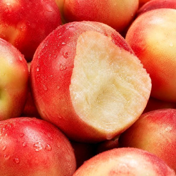 (신선집중/15%+NH10%) 신비 복숭아 5kg (55-69과) / 단 3주만 맛볼 수 있는 백도맛 천도복숭아