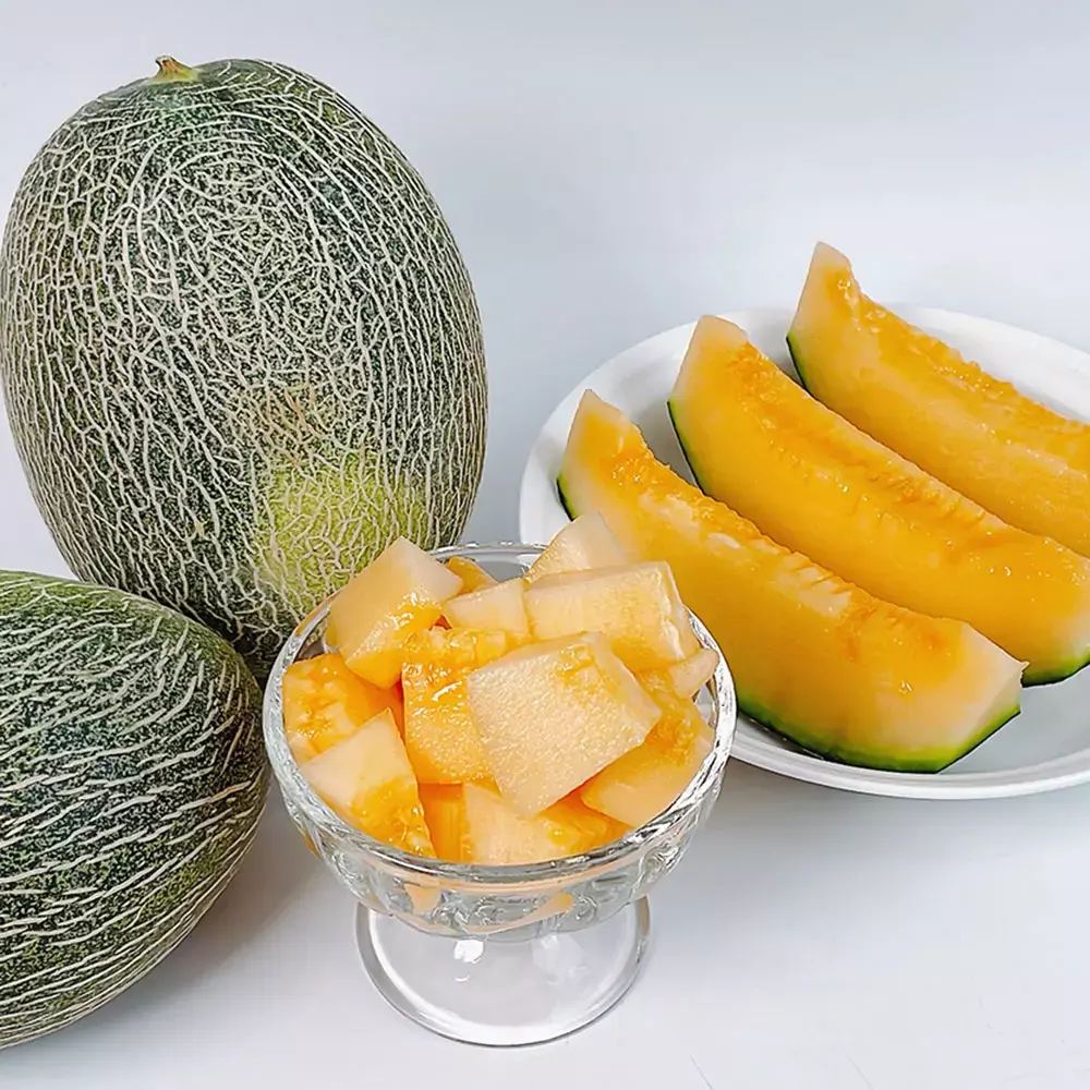 경북 고령 고당도 하미과 메론 2kg 내외