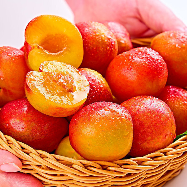 김천 햇 자두 1kg 2kg 새콤달콤 고당도 과즙가득