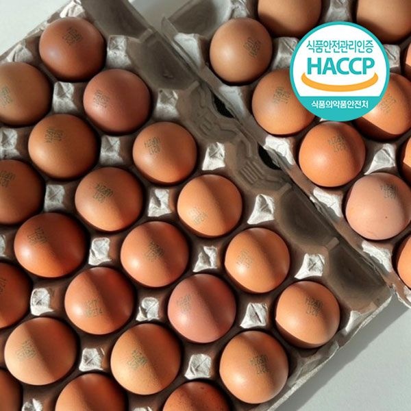 [신선보장] 48시간 오래구워 쫄깃한 구운란(대란) 60구(30구2판)  / HACCP : 롯데ON