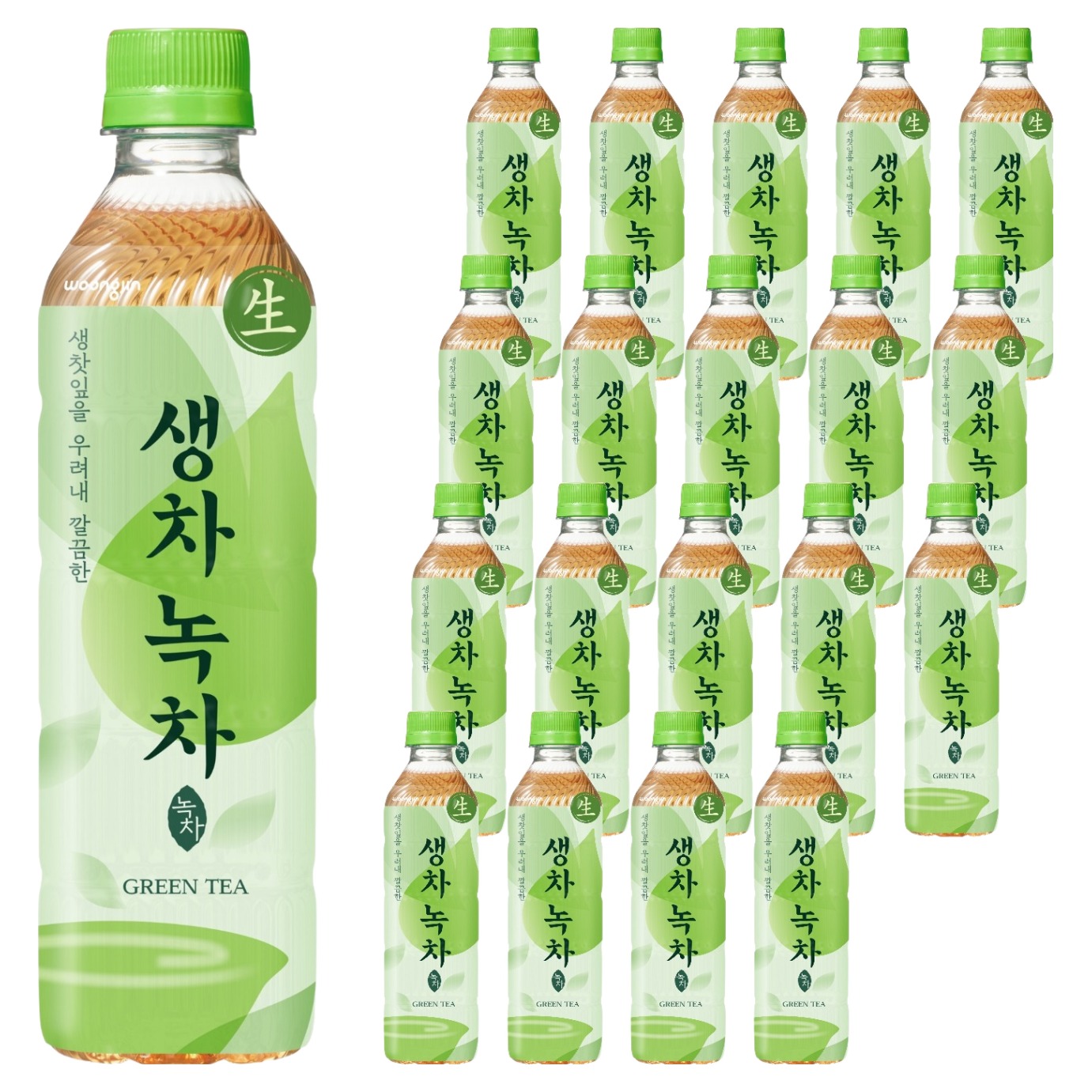 웅진 생차 녹차
