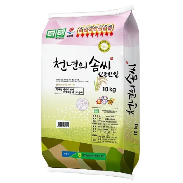 (신선집중) 25년 계화도 간척지쌀 천년의솜씨 신동진쌀 (상 10kg)
