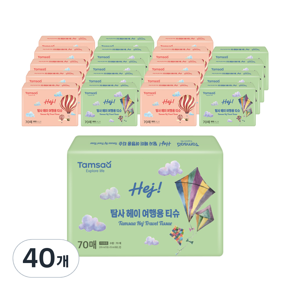탐사 헤이 여행용티슈 2겹 70매
