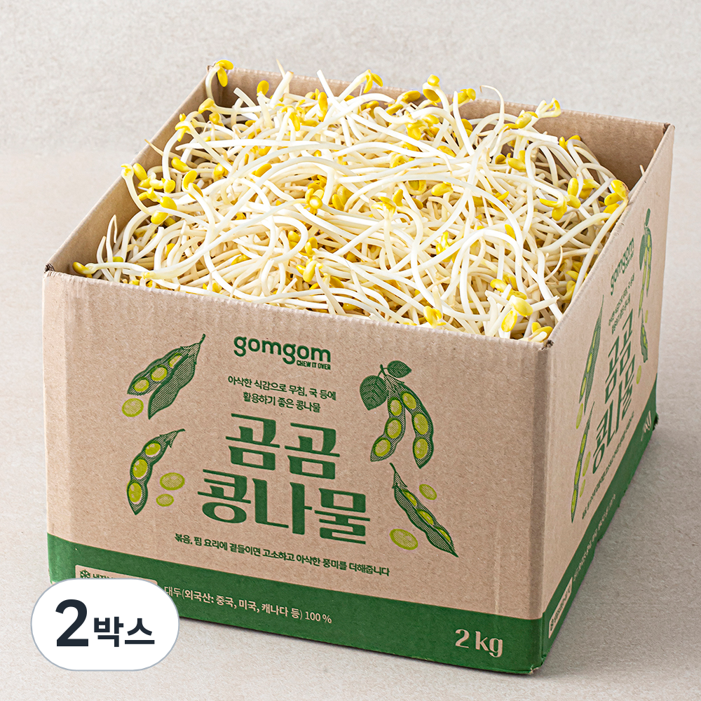 [로켓프레시] 곰곰 콩나물