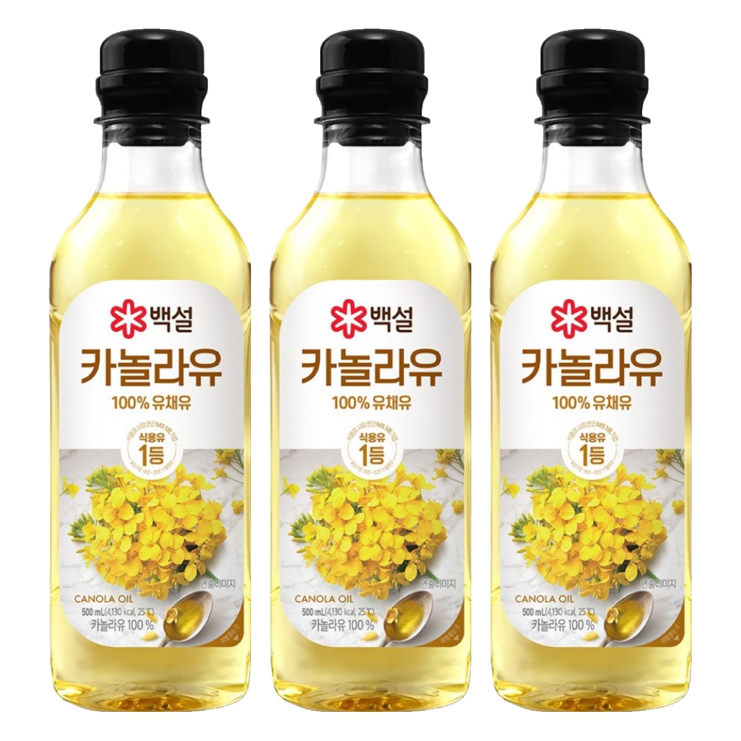백설  카놀라유