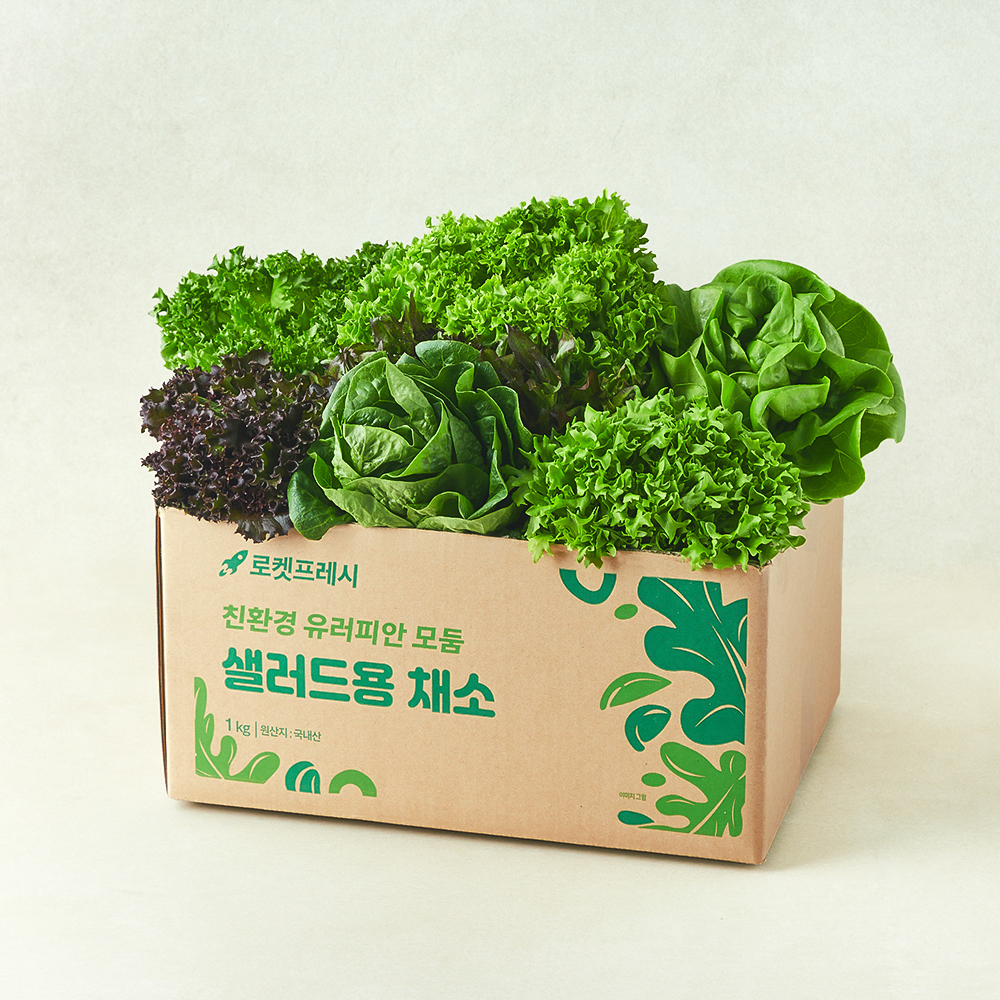 친환경 유러피안 모둠 샐러드용 채소