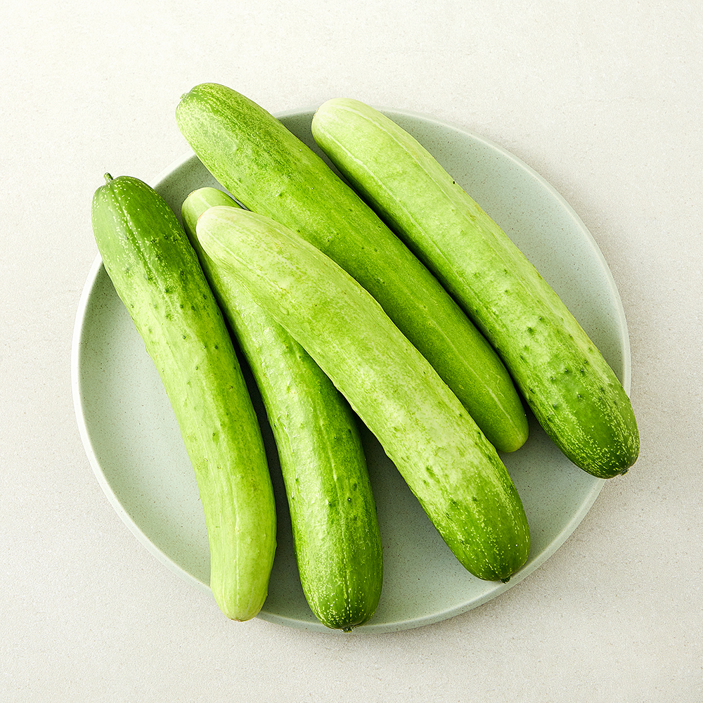 [로켓프레시] 천안 아우내 오이